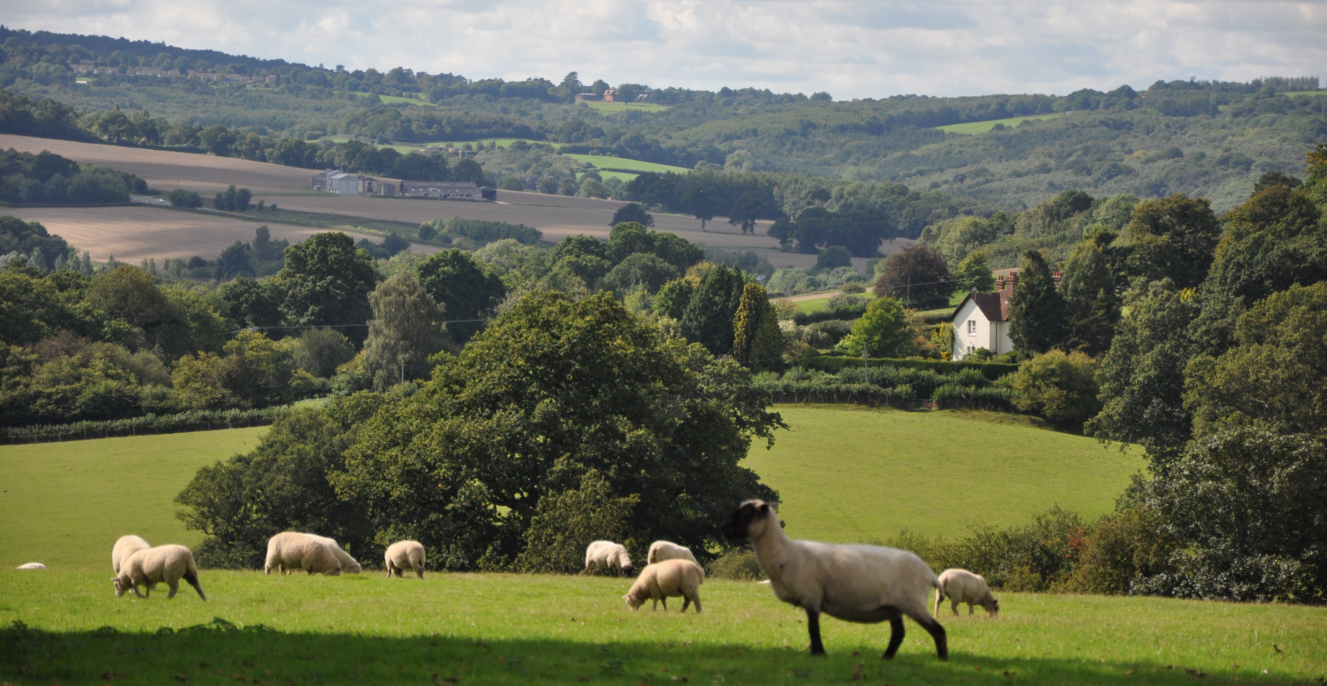 Race ARCHIVED RACE Eridge Park 10 Mile Trail Tunbridge Wells, UK